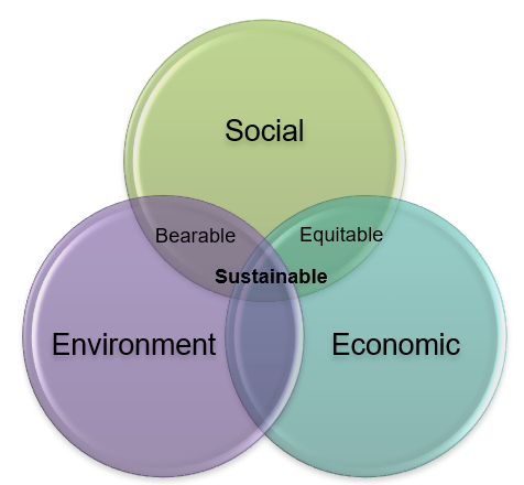 Three overlapping circles, one labelled social, another environment, and the final economic