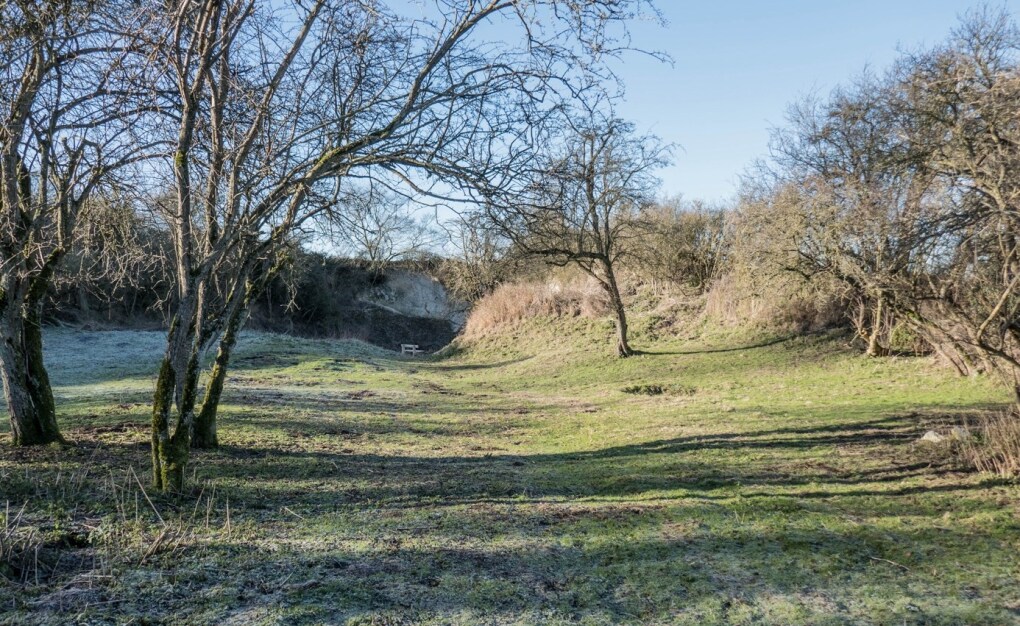 Grassed area and trees inside Chalk Pit