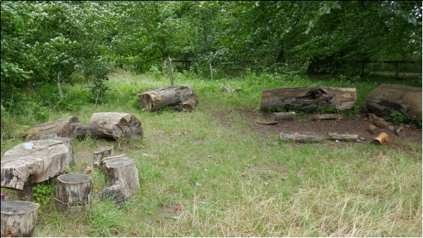 A picture containing grass, and cut sections of old trees in a woodland setting

