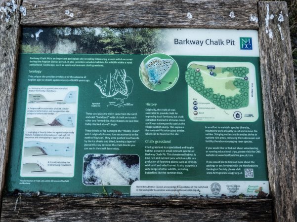 Photograph of the information board at Chalk Pit sowing how it was formed and its nature value now