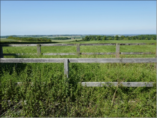 Long distance view to horizon of green fields with fence in foreground