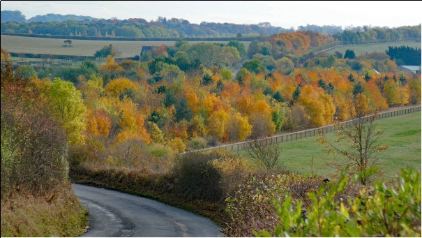 Stunning autumnal photograph from a high point, across the north of parkway and Newsells.