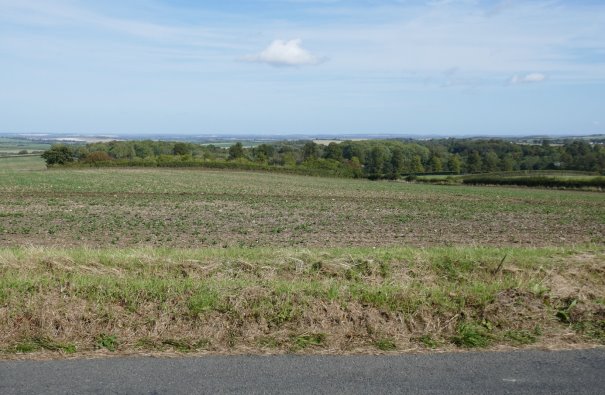 Long distance view across fields and woodland