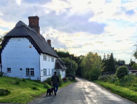 White weatherboarded and thatched house with man and dog walking down a lane