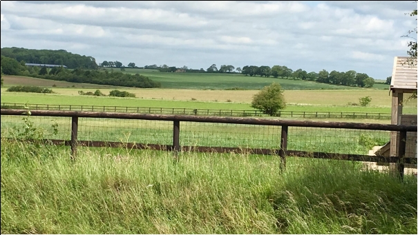 Two bar fences with green fields between and beyond up a gentle incline