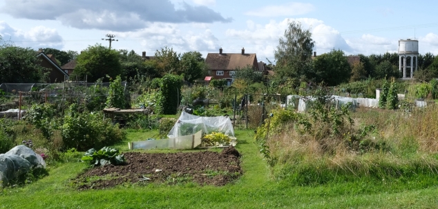 Allotment gardens with water tower in left of the frame