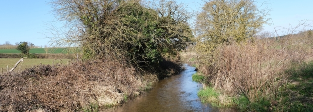 Chalk stream centre of picture, bordered by Bankside vegetation and green fields beyond