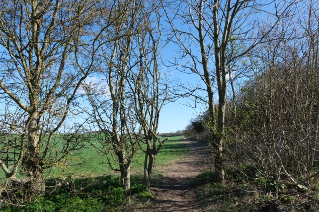 View 3 From Footpath 8 looking north east to Ashley Grove - footpath along edge of field with mature hedgerow bordering path