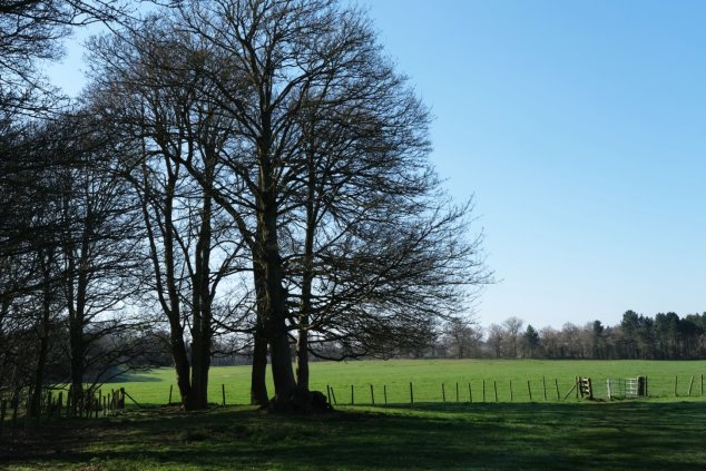 View 11 From The Green looking west across Codicote Heath - shaded field in foreground with mature trees midway and green fields beyond with a backdrop of trees