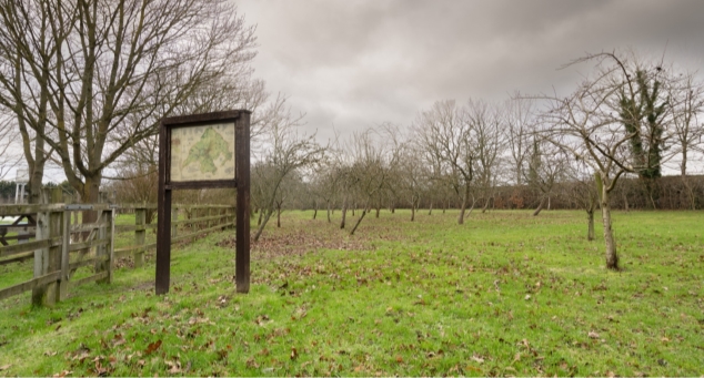 Winter view of the old orchard on Bury Lane with a variety of fruit trees (bare at this time of year. 